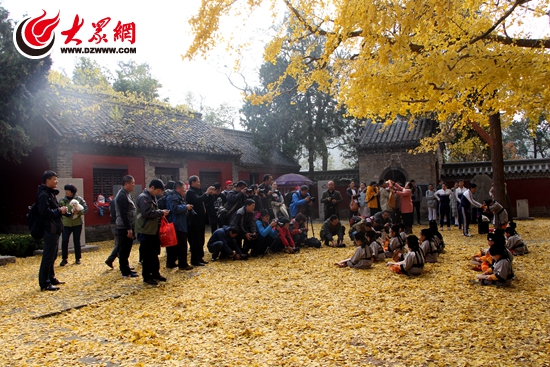 6摄影师们前来拍照 6摄影师们前来拍照
