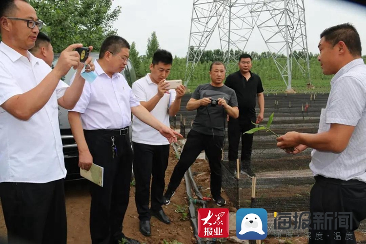 莒县：8亿投资“上山下乡”推动农业转型